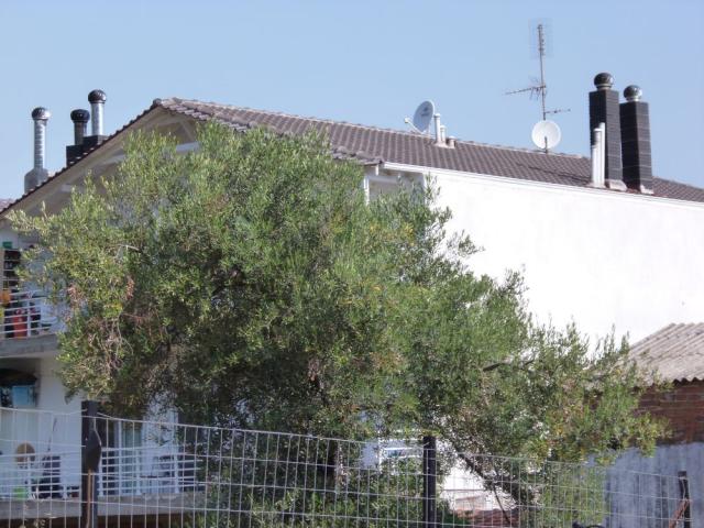 P1000168