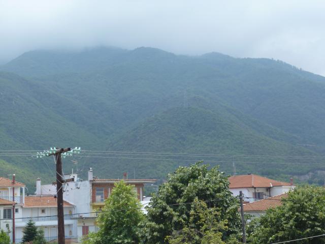 P1000219