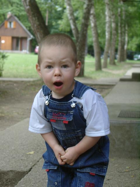 06270033_m.jpg