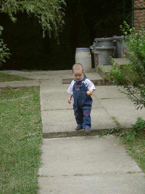 06270046_m.jpg