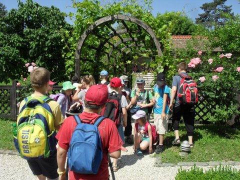 visegrádi osztálykirándulás 2015 jún-5 024