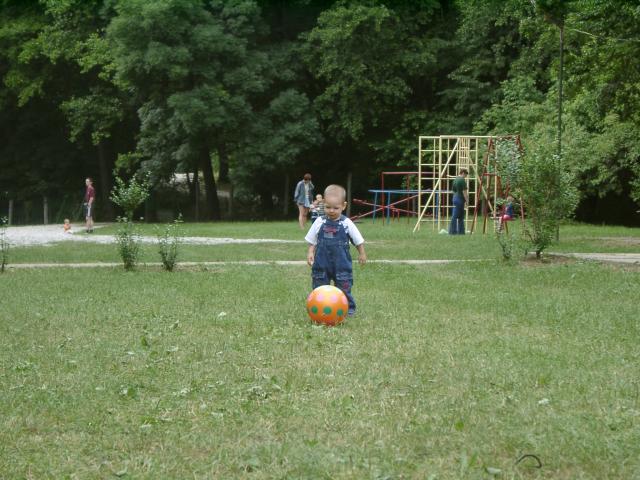 06270075_m.jpg