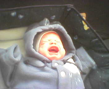 Picture14ZSB.jpg