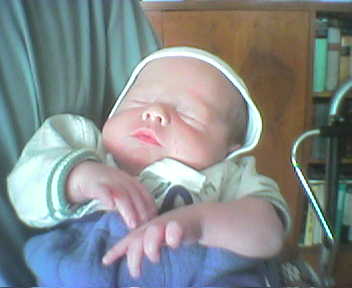 Picture16ZSC.jpg