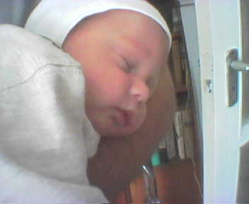 Picture21ZSEE.jpg