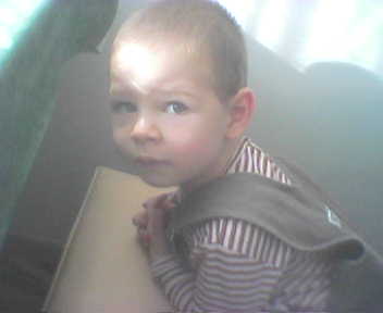 Picture22ZBEE.jpg