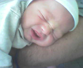 Picture23ZSFF.jpg
