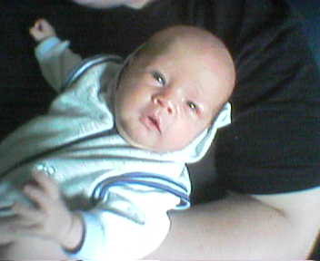 Picture320.jpg