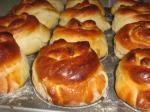 IMG_1060_2