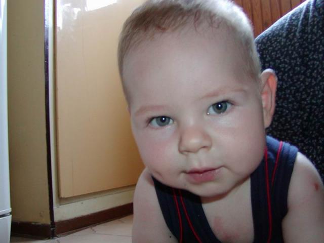 P7110003.jpg