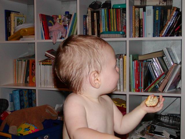 p9120033.jpg