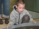 IMG_2746_2