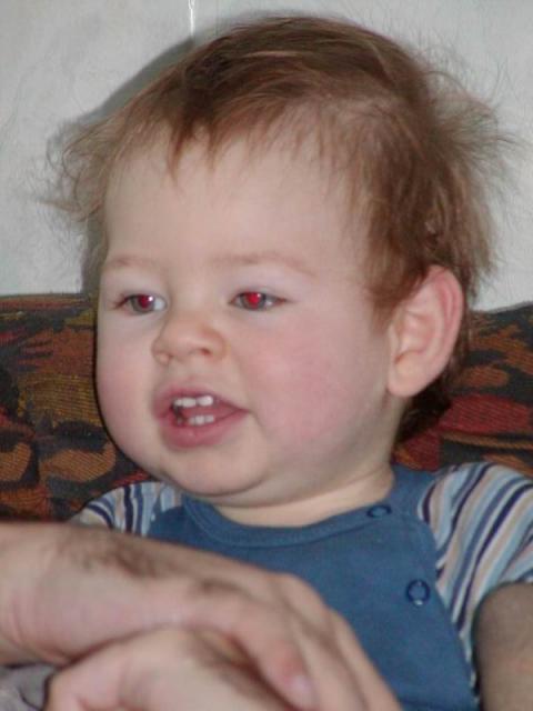 pb230023.jpg