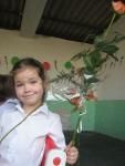 IMG_3781_2